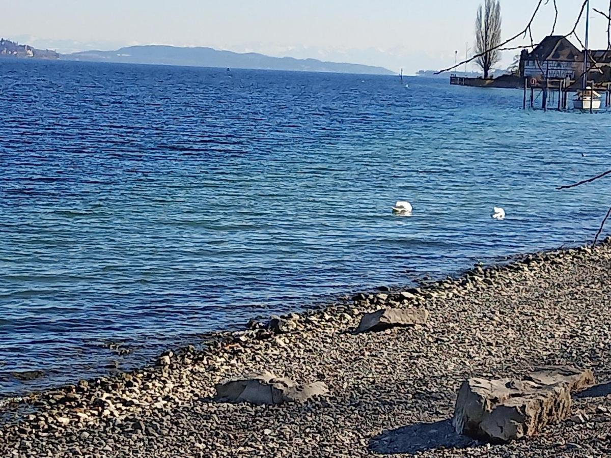 Fewo Mit Tollem Ausblick Auf Der Schwaebischen Alb. Wehingen Dış mekan fotoğraf